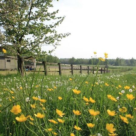 Вилла Agriturismo Cargandino Mezzomerico Экстерьер фото