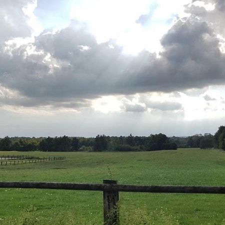 Вилла Agriturismo Cargandino Mezzomerico Экстерьер фото