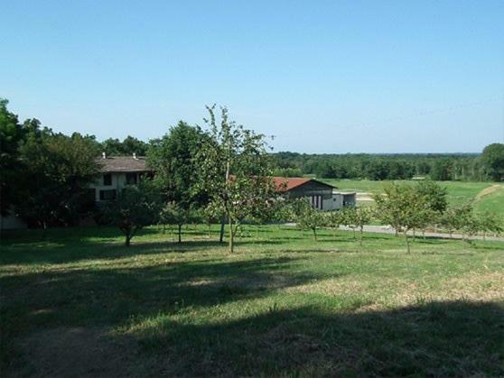Вилла Agriturismo Cargandino Mezzomerico Экстерьер фото