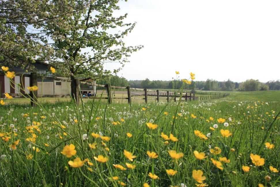 Вилла Agriturismo Cargandino Mezzomerico Экстерьер фото